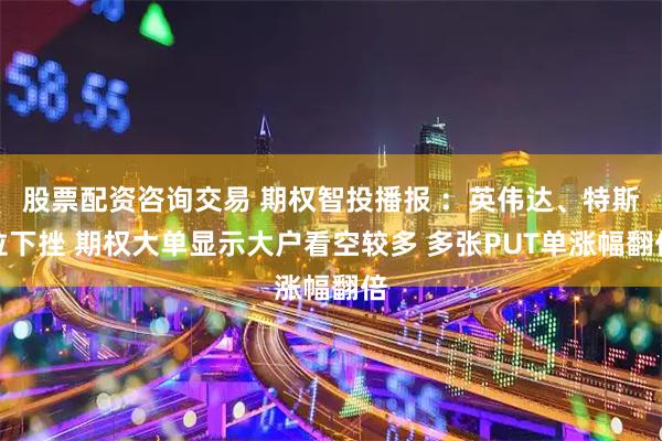 股票配资咨询交易 期权智投播报 ：英伟达、特斯拉下挫 期权大单显示大户看空较多 多张PUT单涨幅翻倍