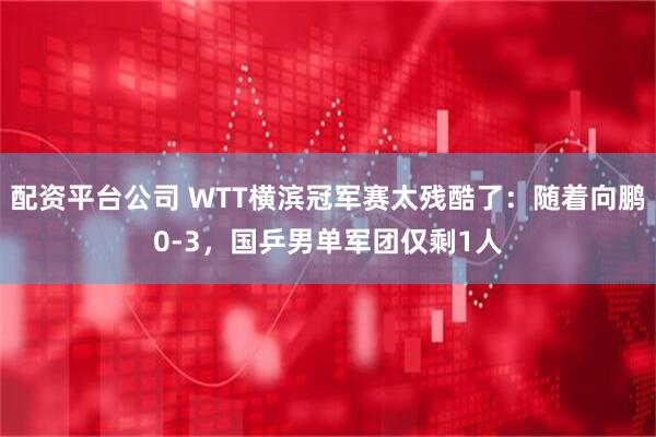 配资平台公司 WTT横滨冠军赛太残酷了：随着向鹏0-3，国乒男单军团仅剩1人